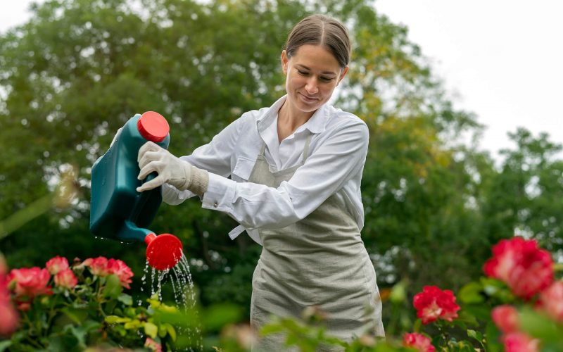 medium-shot-woman-watering-flowers (1)